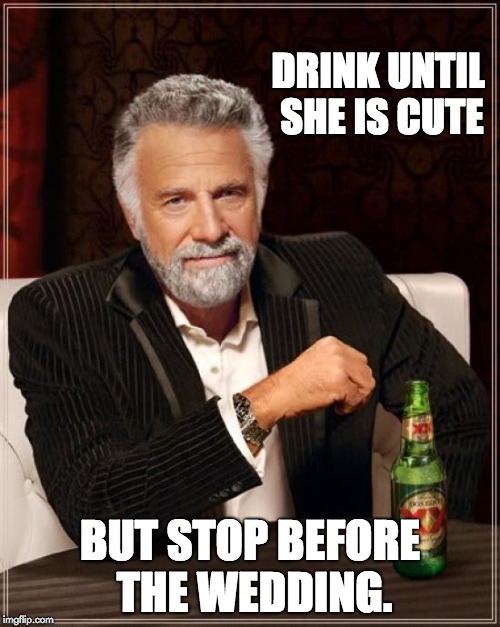 The Most Interesting Man In The World Meme | DRINK UNTIL SHE IS CUTE; BUT STOP BEFORE THE WEDDING. | image tagged in memes,the most interesting man in the world | made w/ Imgflip meme maker