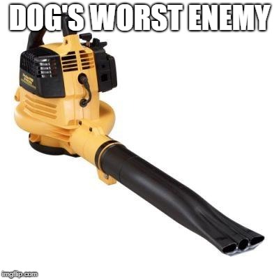 Leaf blower | DOG'S WORST ENEMY | image tagged in leaf blower | made w/ Imgflip meme maker