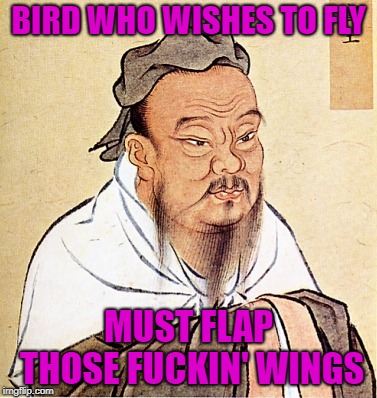 Confucius Says | BIRD WHO WISHES TO FLY MUST FLAP THOSE F**KIN' WINGS | image tagged in confucius says | made w/ Imgflip meme maker