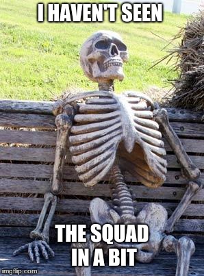 Waiting Skeleton Meme | I HAVEN'T SEEN; THE SQUAD IN A BIT | image tagged in memes,waiting skeleton | made w/ Imgflip meme maker