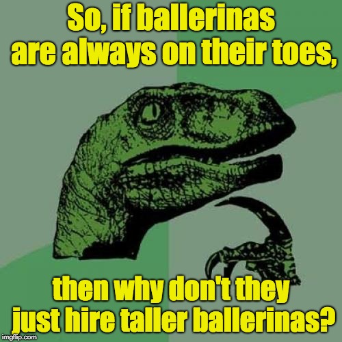 Philosoraptor Meme | So, if ballerinas are always on their toes, then why don't they just hire taller ballerinas? | image tagged in memes,philosoraptor | made w/ Imgflip meme maker