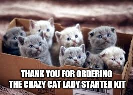 THANK YOU FOR ORDERING THE CRAZY CAT LADY STARTER KIT | image tagged in adorable,starterkit | made w/ Imgflip meme maker