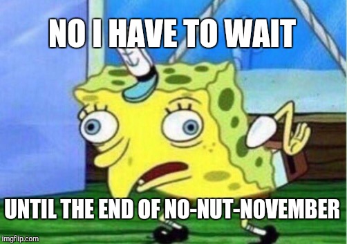 Mocking Spongebob Meme | NO I HAVE TO WAIT UNTIL THE END OF NO-NUT-NOVEMBER | image tagged in memes,mocking spongebob | made w/ Imgflip meme maker