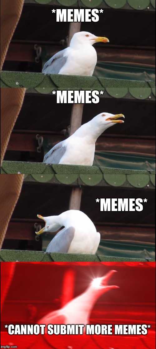 Inhaling Seagull | *MEMES*; *MEMES*; *MEMES*; *CANNOT SUBMIT MORE MEMES* | image tagged in memes,inhaling seagull | made w/ Imgflip meme maker