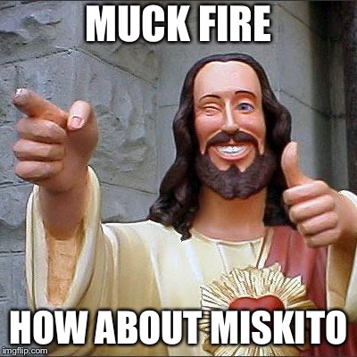 Buddy Christ Meme | MUCK FIRE; HOW ABOUT MISKITO | image tagged in memes,buddy christ | made w/ Imgflip meme maker