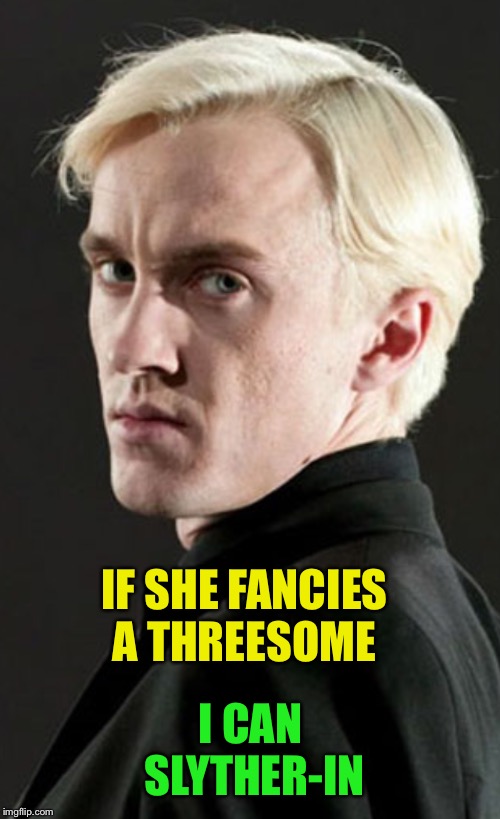 IF SHE FANCIES A THREESOME I CAN SLYTHER-IN | made w/ Imgflip meme maker