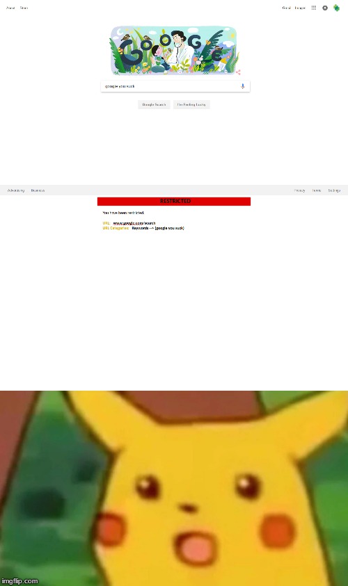 Google you suck | image tagged in google,suck,surprised pikachu,funny,memes | made w/ Imgflip meme maker