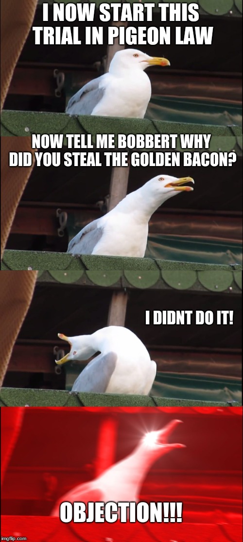 Inhaling Seagull Meme | I NOW START THIS TRIAL IN PIGEON LAW; NOW TELL ME BOBBERT WHY DID YOU STEAL THE GOLDEN BACON? I DIDNT DO IT! OBJECTION!!! | image tagged in memes,inhaling seagull | made w/ Imgflip meme maker