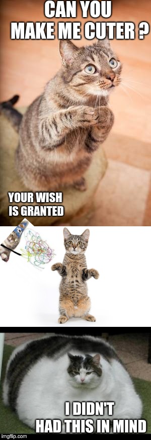 CAN YOU MAKE ME CUTER ? YOUR WISH IS GRANTED; I DIDN'T HAD THIS IN MIND | image tagged in asking cat | made w/ Imgflip meme maker