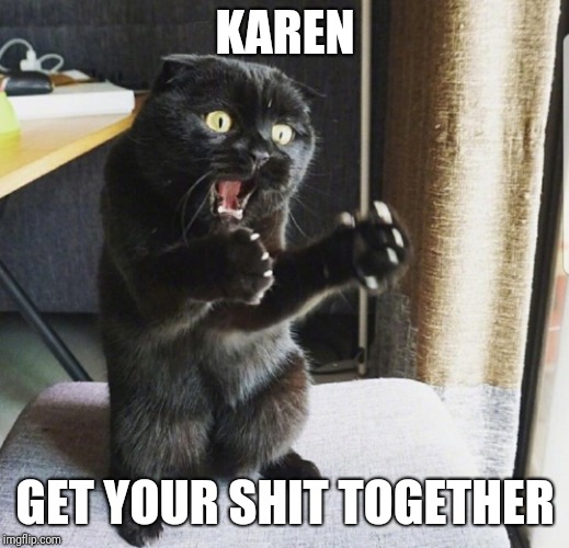 KAREN; GET YOUR SHIT TOGETHER | image tagged in cat,shocked | made w/ Imgflip meme maker