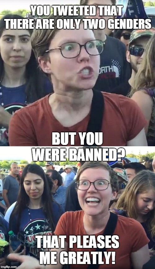 YOU TWEETED THAT THERE ARE ONLY TWO GENDERS THAT PLEASES ME GREATLY! BUT YOU WERE BANNED? | image tagged in triggered feminist | made w/ Imgflip meme maker