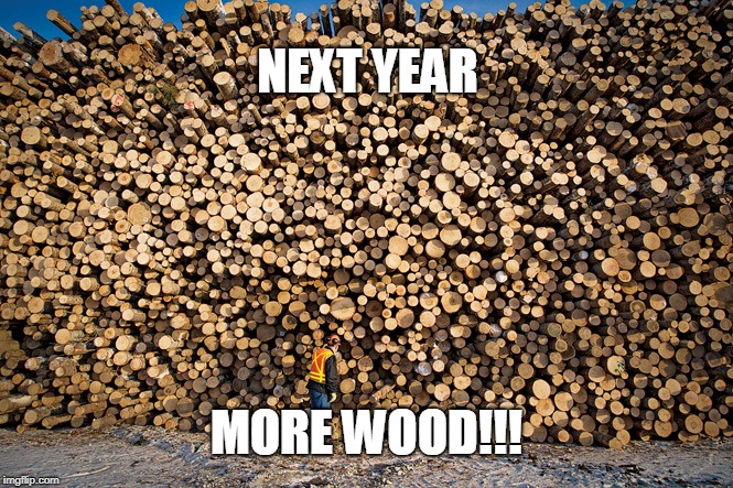 NEXT YEAR; MORE WOOD!!! | made w/ Imgflip meme maker