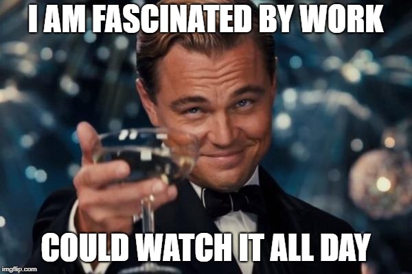 Leonardo Dicaprio Cheers Meme | I AM FASCINATED BY WORK COULD WATCH IT ALL DAY | image tagged in memes,leonardo dicaprio cheers | made w/ Imgflip meme maker