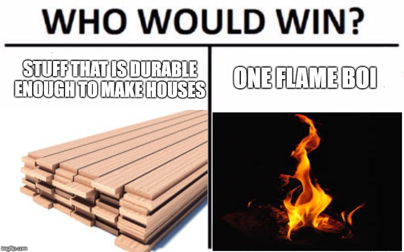 ONE FLAME BOI; STUFF THAT IS DURABLE ENOUGH TO MAKE HOUSES | image tagged in flame,meme,wood,who would win | made w/ Imgflip meme maker