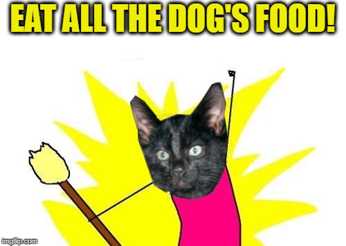 X All The Y Meme | EAT ALL THE DOG'S FOOD! | image tagged in memes,x all the y | made w/ Imgflip meme maker
