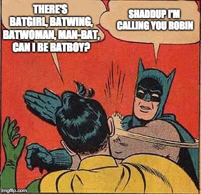 Naming your son | THERE'S BATGIRL, BATWING, BATWOMAN, MAN-BAT, CAN I BE BATBOY? SHADDUP I'M CALLING YOU ROBIN | image tagged in memes,batman slapping robin,family,robin,batman and robin | made w/ Imgflip meme maker