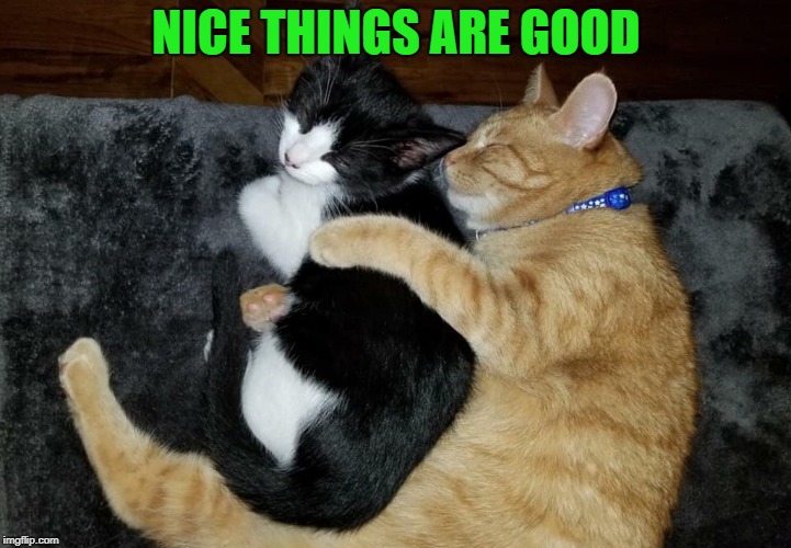 NICE THINGS ARE GOOD | made w/ Imgflip meme maker