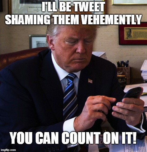 trump tweeting | I'LL BE TWEET SHAMING THEM VEHEMENTLY YOU CAN COUNT ON IT! | image tagged in trump tweeting | made w/ Imgflip meme maker