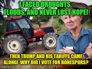 Hindsight is a tough thing!  | I FACED DROUGHTS,  FLOODS, AND NEVER LOST HOPE! THEN TRUMP AND HIS TARIFFS CAME ALONG!  WHY DID I VOTE FOR BONESPURS? | image tagged in angry farmer,donald trump,tariffs,china,republicans | made w/ Imgflip meme maker