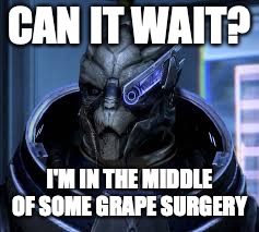 garrus | CAN IT WAIT? I'M IN THE MIDDLE OF SOME GRAPE SURGERY | image tagged in garrus | made w/ Imgflip meme maker