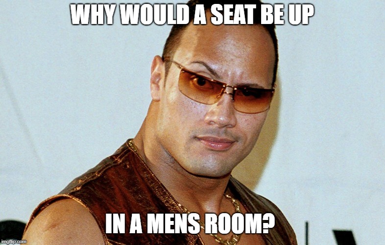 Really Rock | WHY WOULD A SEAT BE UP IN A MENS ROOM? | image tagged in really rock | made w/ Imgflip meme maker