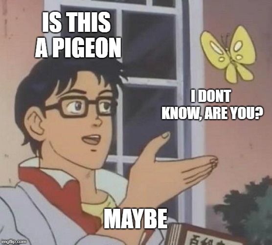 Is This A Pigeon Meme | IS THIS A PIGEON; I DONT KNOW, ARE YOU? MAYBE | image tagged in memes,is this a pigeon | made w/ Imgflip meme maker