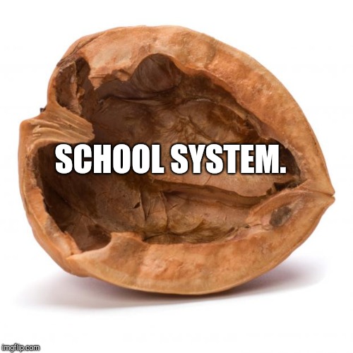 Nutshell | SCHOOL SYSTEM. | image tagged in nutshell | made w/ Imgflip meme maker
