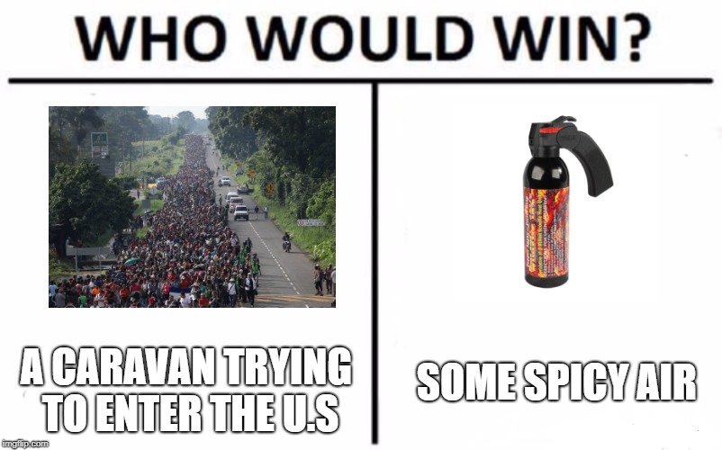 Who Would Win? | SOME SPICY AIR; A CARAVAN TRYING TO ENTER THE U.S | image tagged in memes,who would win,funny | made w/ Imgflip meme maker