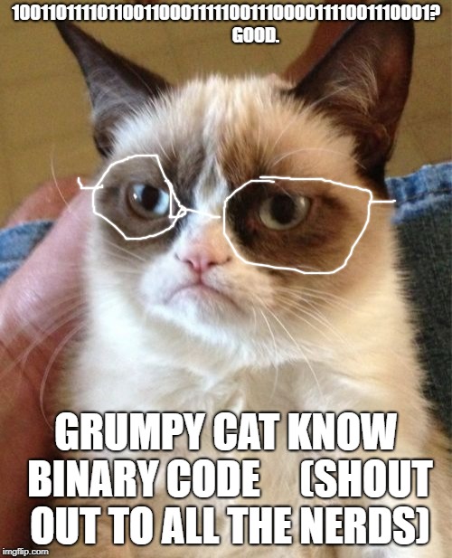 Grumpy Cat | 10011011110110011000111110011100001111001110001?                 GOOD. GRUMPY CAT KNOW BINARY CODE     (SHOUT OUT TO ALL THE NERDS) | image tagged in memes,grumpy cat | made w/ Imgflip meme maker