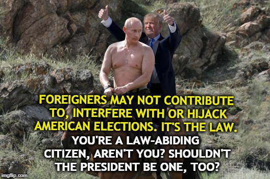 . | FOREIGNERS MAY NOT CONTRIBUTE TO, INTERFERE WITH OR HIJACK AMERICAN ELECTIONS. IT'S THE LAW. YOU'RE A LAW-ABIDING CITIZEN, AREN'T YOU? SHOULDN'T THE PRESIDENT BE ONE, TOO? | image tagged in foreigners,election,hijack,president,trump,putin | made w/ Imgflip meme maker