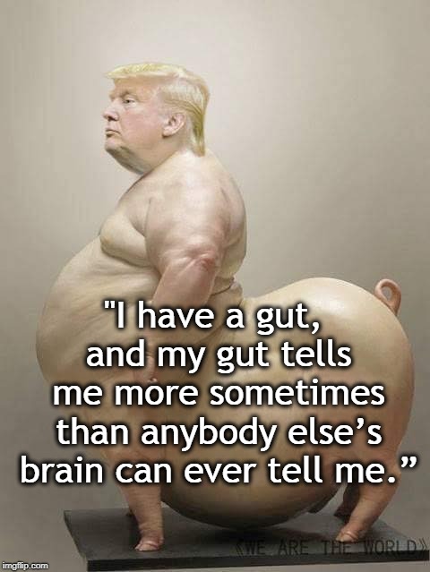 The Great American Nutjob | "I have a gut, and my gut tells me more sometimes than anybody else’s brain can ever tell me.” | image tagged in trump,gut,brain | made w/ Imgflip meme maker