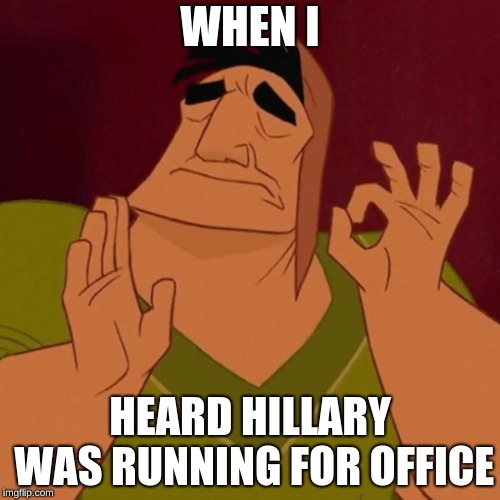 Pacha perfect | WHEN I; HEARD HILLARY WAS RUNNING FOR OFFICE | image tagged in pacha perfect | made w/ Imgflip meme maker