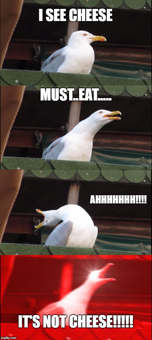 Inhaling Seagull | I SEE CHEESE; MUST..EAT..... AHHHHHHH!!!! IT'S NOT CHEESE!!!!! | image tagged in memes,inhaling seagull | made w/ Imgflip meme maker