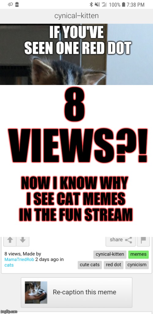 The politics ones still need to stop being featured in Fun, though. | 8 VIEWS?! NOW I KNOW WHY I SEE CAT MEMES IN THE FUN STREAM | image tagged in cat memes,fun memes,streams | made w/ Imgflip meme maker