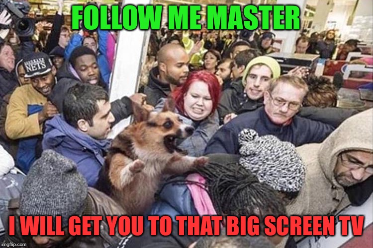 I think he's gonna make it. | FOLLOW ME MASTER; I WILL GET YOU TO THAT BIG SCREEN TV | image tagged in dog,holiday shopping,memes,funny | made w/ Imgflip meme maker