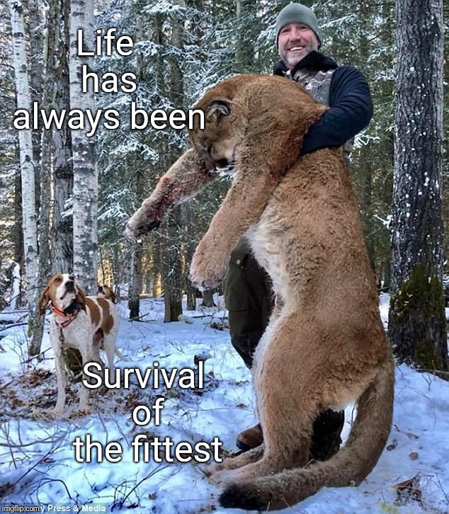 Humans are the only hunters not hunted | Life has always been; Survival of the fittest | image tagged in human,humans,hunter,hunting,survival,justjeff | made w/ Imgflip meme maker