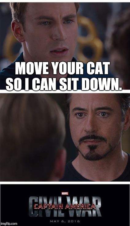 Marvel Civil War 1 Meme | MOVE YOUR CAT SO I CAN SIT DOWN. | image tagged in memes,marvel civil war 1 | made w/ Imgflip meme maker