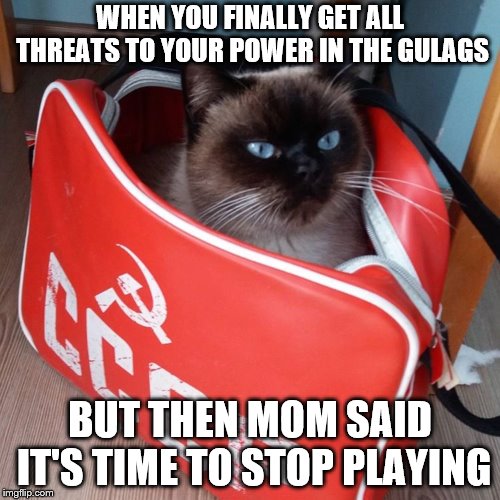 Communist Cat | WHEN YOU FINALLY GET ALL THREATS TO YOUR POWER IN THE GULAGS; BUT THEN MOM SAID IT'S TIME TO STOP PLAYING | image tagged in communist cat | made w/ Imgflip meme maker