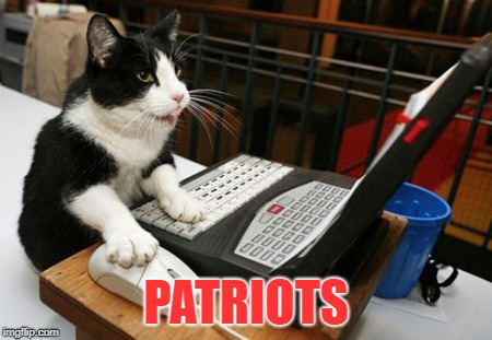 Fact Cat | PATRIOTS | image tagged in fact cat | made w/ Imgflip meme maker
