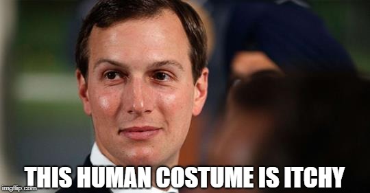 THIS HUMAN COSTUME IS ITCHY | image tagged in jared kushner | made w/ Imgflip meme maker