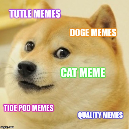 Memes i like | TUTLE MEMES; DOGE MEMES; CAT MEME; TIDE POD MEMES; QUALITY MEMES | image tagged in memes,doge | made w/ Imgflip meme maker