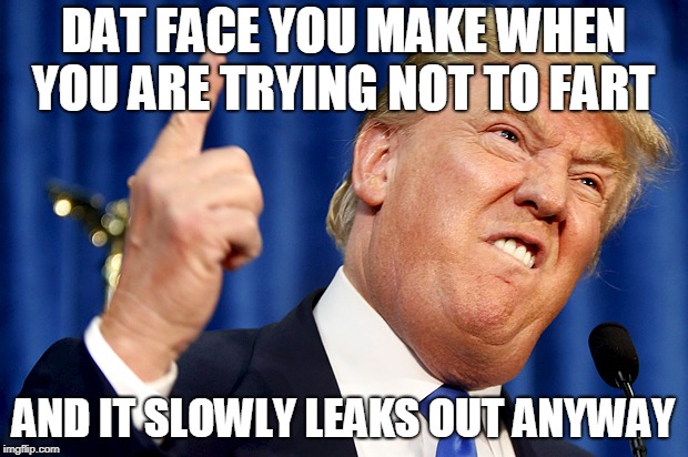 Donald Trump | DAT FACE YOU MAKE WHEN YOU ARE TRYING NOT TO FART; AND IT SLOWLY LEAKS OUT ANYWAY | image tagged in donald trump | made w/ Imgflip meme maker