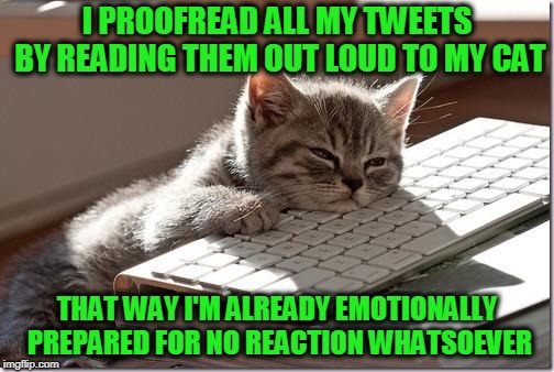 Bored Keyboard Cat | I PROOFREAD ALL MY TWEETS BY READING THEM OUT LOUD TO MY CAT; THAT WAY I'M ALREADY EMOTIONALLY PREPARED FOR NO REACTION WHATSOEVER | image tagged in bored keyboard cat | made w/ Imgflip meme maker
