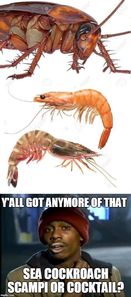 When somebody said, "Shrimp are like sea cockroaches, they look gross!" | Y'ALL GOT ANYMORE OF THAT; SEA COCKROACH SCAMPI OR COCKTAIL? | image tagged in memes,y'all got any more of that,shrimp,cockroaches,cockroach,seafood | made w/ Imgflip meme maker