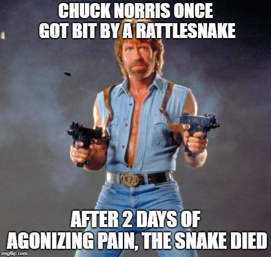 Chuck Norris Guns | CHUCK NORRIS ONCE GOT BIT BY A RATTLESNAKE; AFTER 2 DAYS OF AGONIZING PAIN, THE SNAKE DIED | image tagged in memes,chuck norris guns,chuck norris | made w/ Imgflip meme maker
