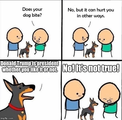 does your dog bite | Donald Trump is president whether you like it or not. No! It's not true! | image tagged in does your dog bite | made w/ Imgflip meme maker