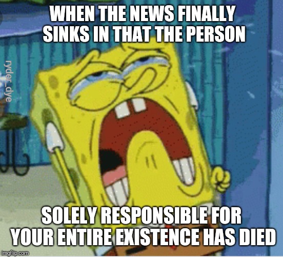  RIPS.H. | WHEN THE NEWS FINALLY SINKS IN THAT THE PERSON; ryder_dye; SOLELY RESPONSIBLE FOR YOUR ENTIRE EXISTENCE HAS DIED | image tagged in sad,died,creator,spongebob | made w/ Imgflip meme maker