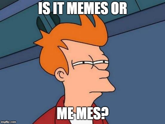 Futurama Fry | IS IT MEMES OR; ME MES? | image tagged in memes,futurama fry | made w/ Imgflip meme maker