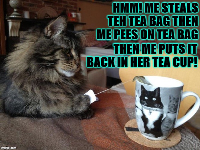 HMM! ME STEALS TEH TEA BAG THEN ME PEES ON TEA BAG; THEN ME PUTS IT BACK IN HER TEA CUP! | image tagged in pee bag | made w/ Imgflip meme maker