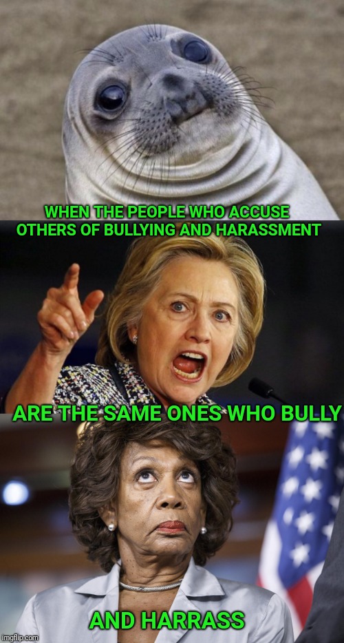 Awkward moment harrassment irony. | WHEN THE PEOPLE WHO ACCUSE OTHERS OF BULLYING AND HARASSMENT; ARE THE SAME ONES WHO BULLY; AND HARRASS | image tagged in memes,awkward moment sealion,maxine waters,hillary,bullying | made w/ Imgflip meme maker